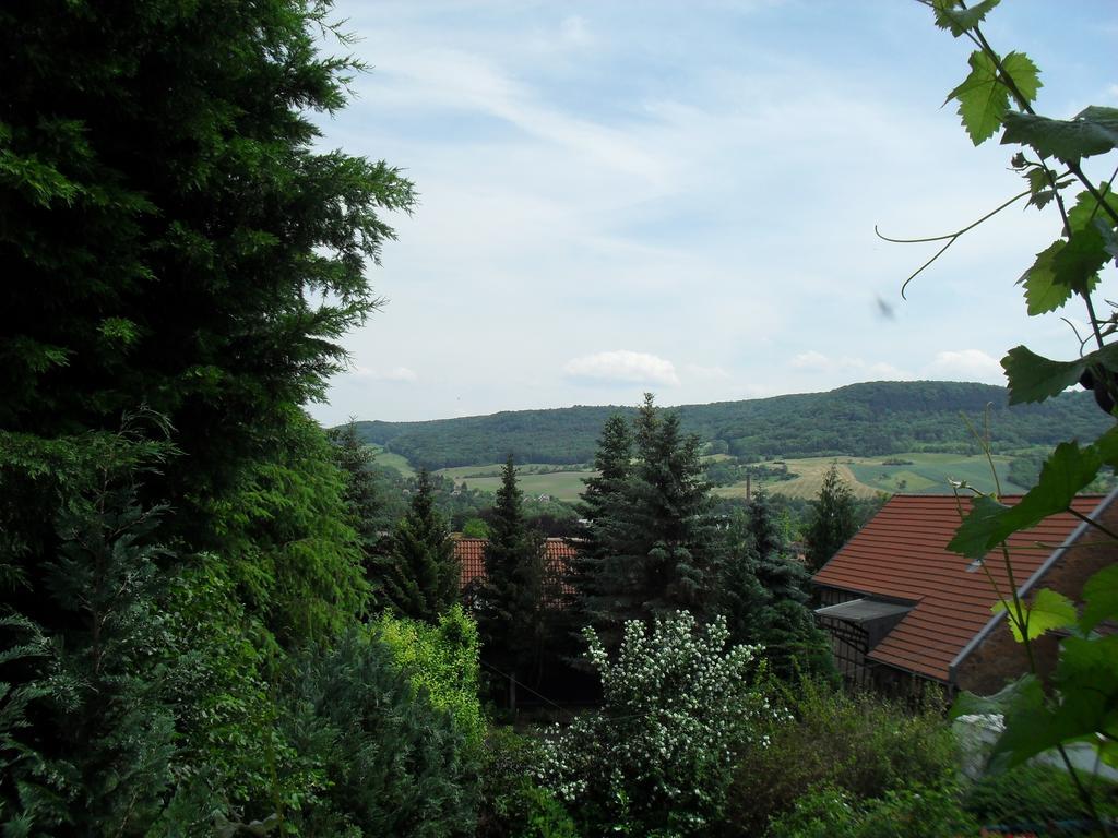 Ferienwohnung Bergblick Jena Kamer foto